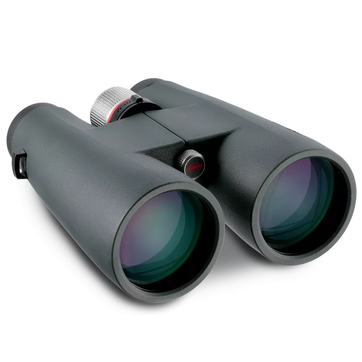 Kowa BD 10x56 XD Prominar inkl. Premium Reinigungsset