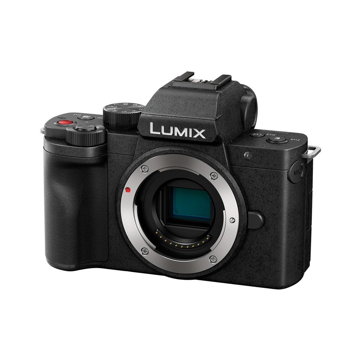Panasonic Lumix G100D Kit 12–32mm und 45-150mm