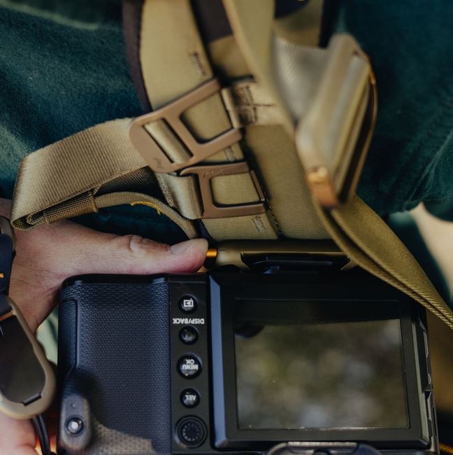 Peak Design Capture Clip v3 inkl. Standard Plate - Kelp