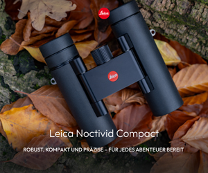 LEICA NOCTIVID COMPACT 8x25 (schwarz, gummiert)  Demo-Modell, neuwertig