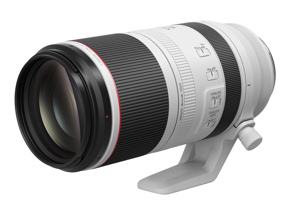 Canon RF 100-500 mm F4.5-7.1 L IS USM