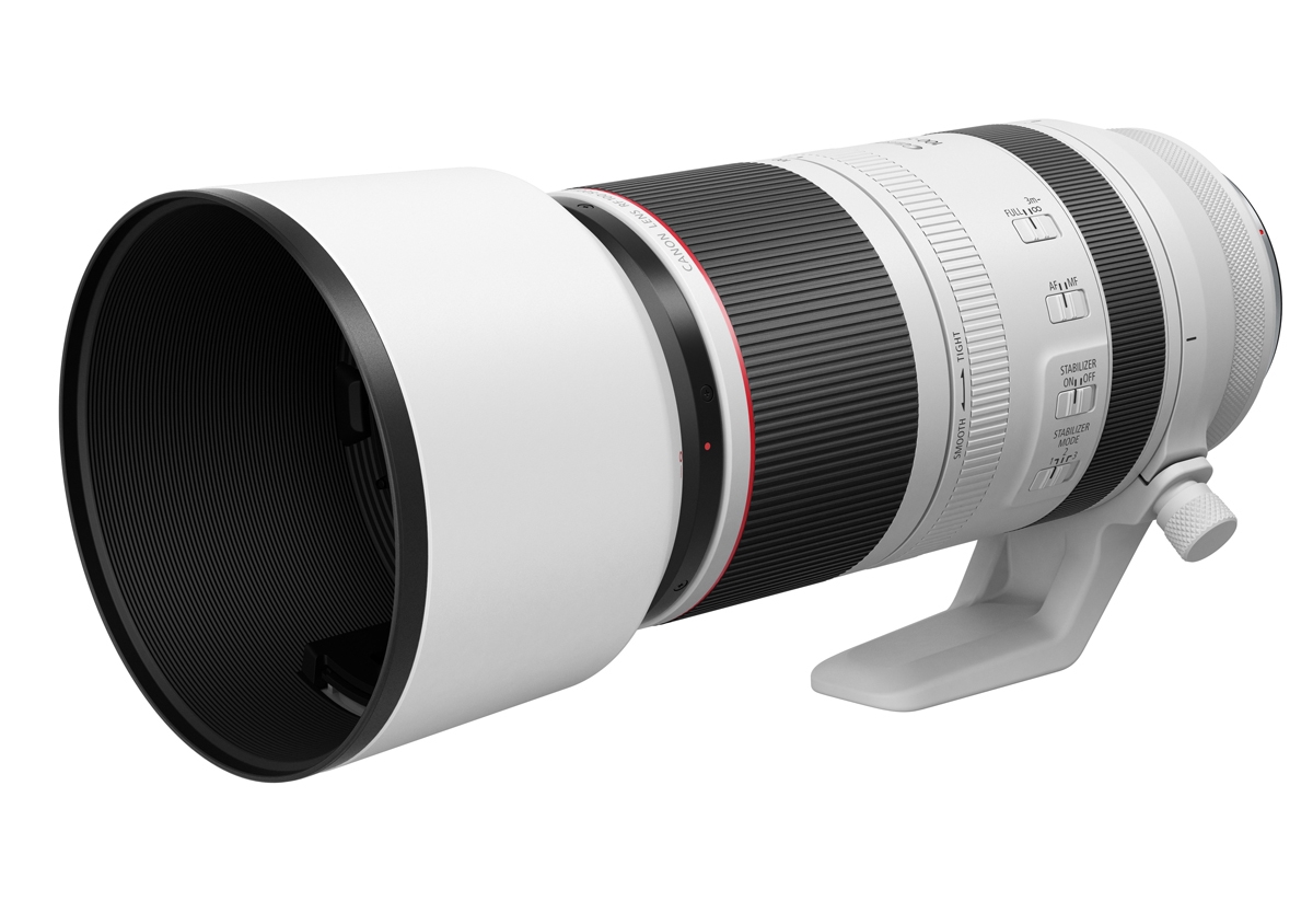 Canon RF 100-500 mm F4.5-7.1 L IS USM
