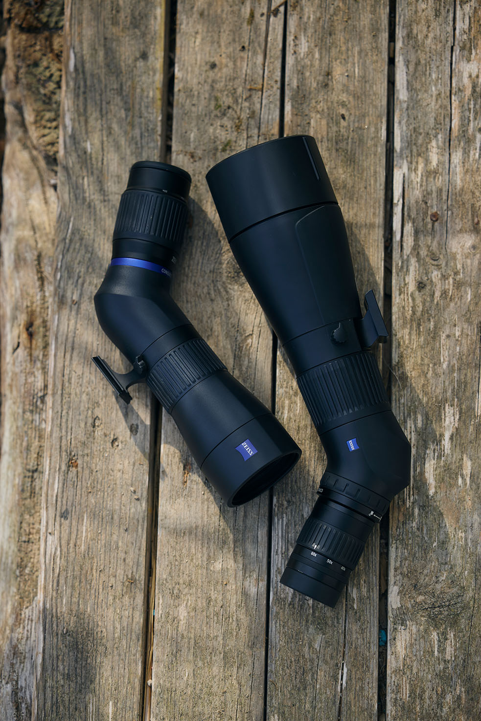 ZEISS Conquest Apia 65 inkl. Okular 20-50x65 + ZEISS Digiscoping Adapterset