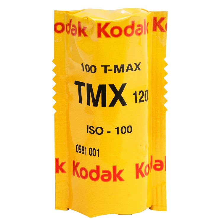 Kodak T-MAX 100 120 Einzelfilm