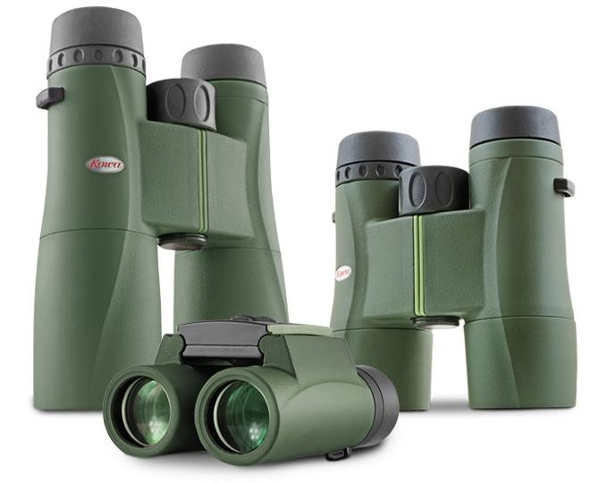 Kowa 8x32 SV II inkl. Premium Reinigungsset