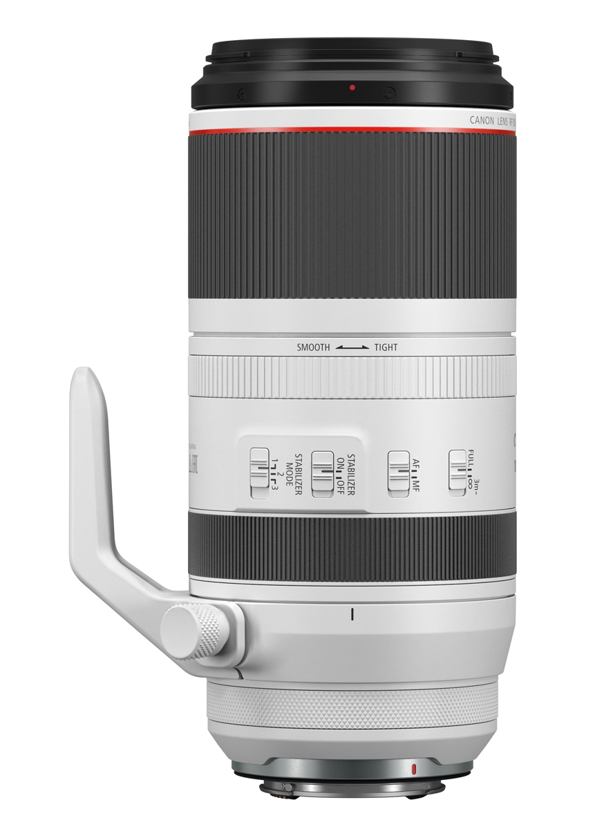Canon RF 100-500 mm F4.5-7.1 L IS USM