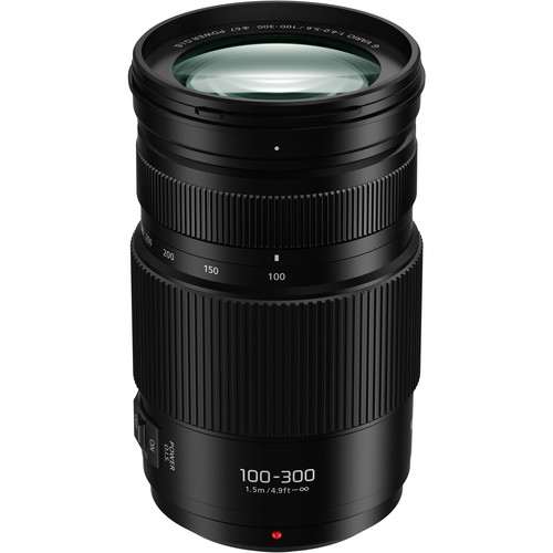 Panasonic Lumix G Vario 100-300mm f4.0-5.6 OIS II